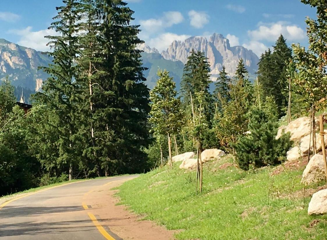 Garni Villa Elsa Pozza di Fassa Dış mekan fotoğraf